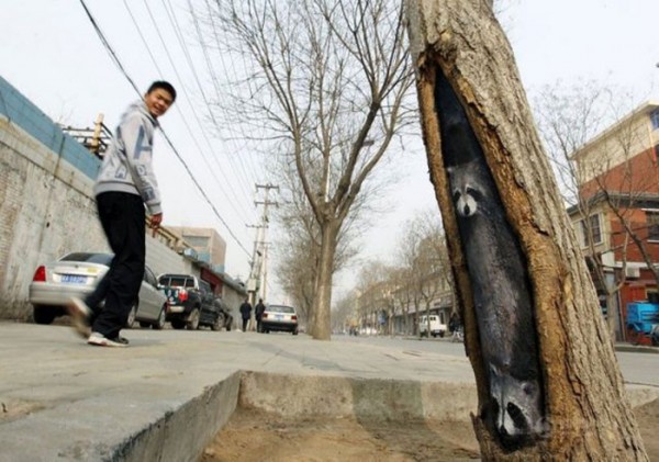 Ван Юй и дърветата (СНИМКИ)