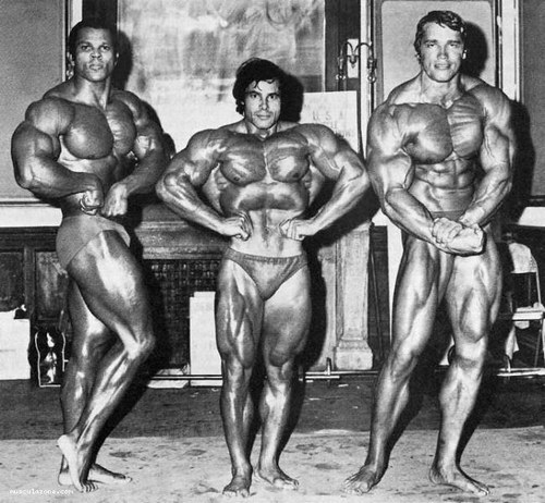 364574_2Z2ZNEM8FVUIU7I8Y8I41CTREDHSPJ_arnold-schwarzenegger456_H163451_L