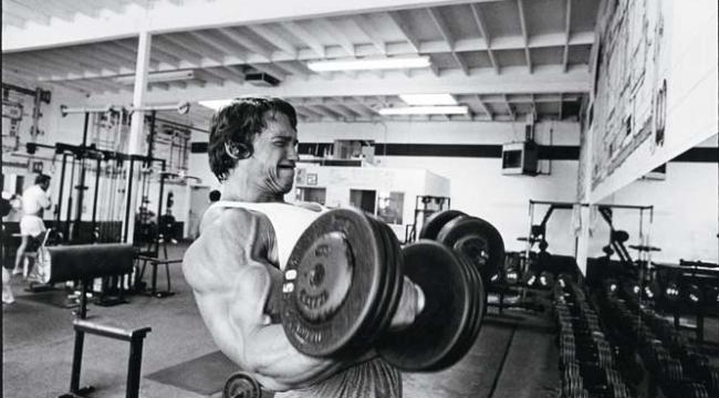 Arnold Arms