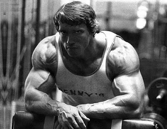 arnold-schwarzenegger-pumping-iron