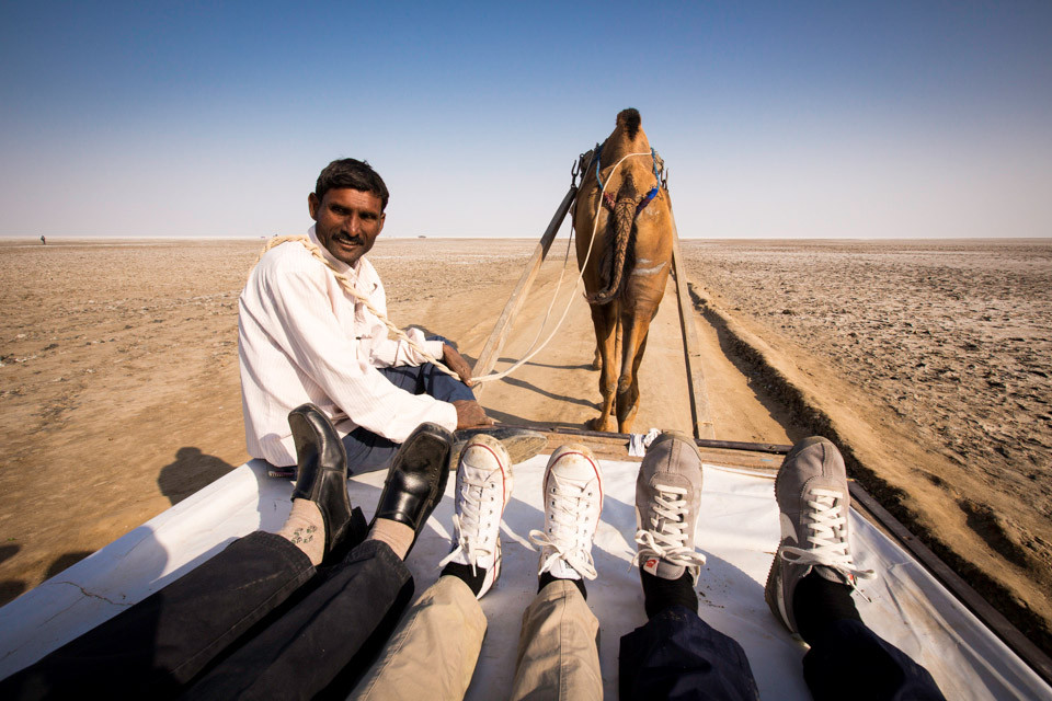 Първата фотография "Пътешествието на крачетата" (СНИМКИ)
