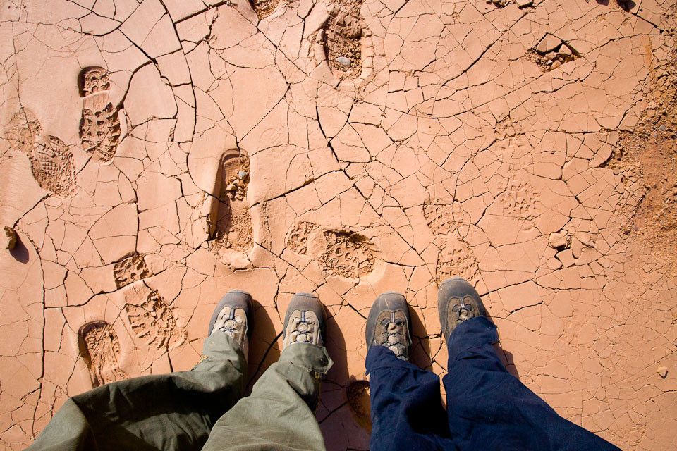 Първата фотография "Пътешествието на крачетата" (СНИМКИ)