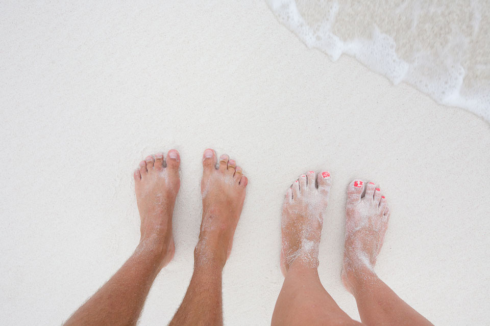 Първата фотография "Пътешествието на крачетата" (СНИМКИ)