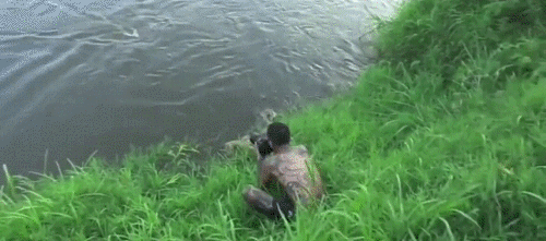 Те всеки ден оцеляват, за да има какво да гледаш, мързеливец такъв