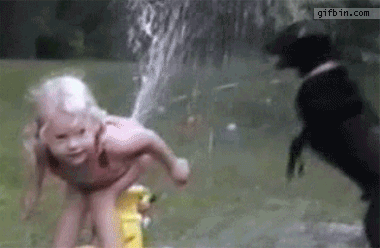 Рядко тъпи, но сладки хлапета (ГИФЧЕТА)