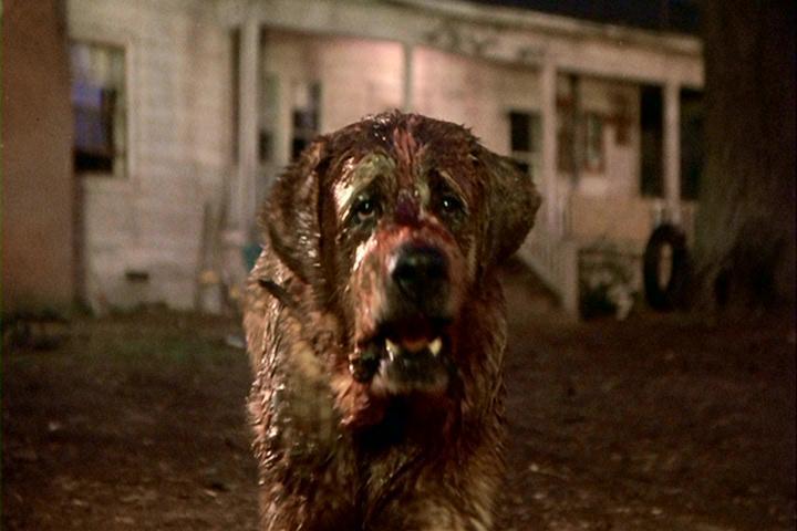cujo-movie-pic-stephen-king-18736955-720-480