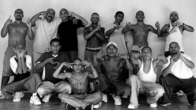 ms-13