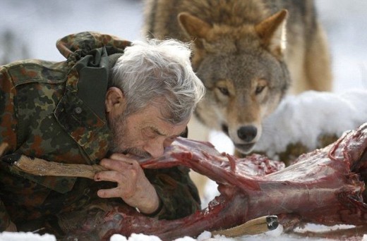 wolf5