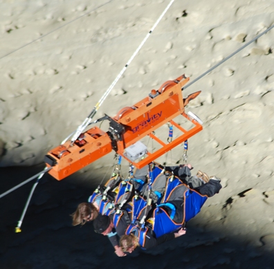 Стани Летяща лисица в Нова Зеландия (ВИДЕО)