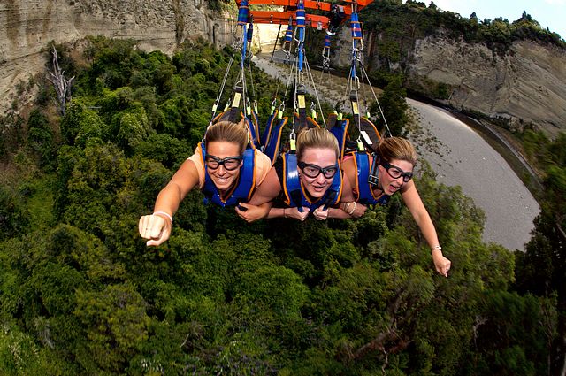 Стани Летяща лисица в Нова Зеландия (ВИДЕО)
