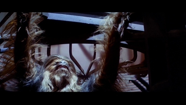 enhanced-buzz-27411-1378257061-8