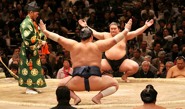 sumo