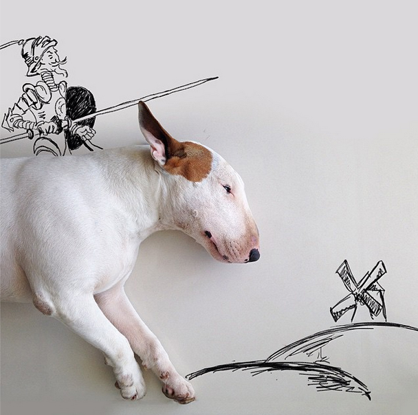 Жената те напуска и ставаш гений с бултериер (СНИМКИ)