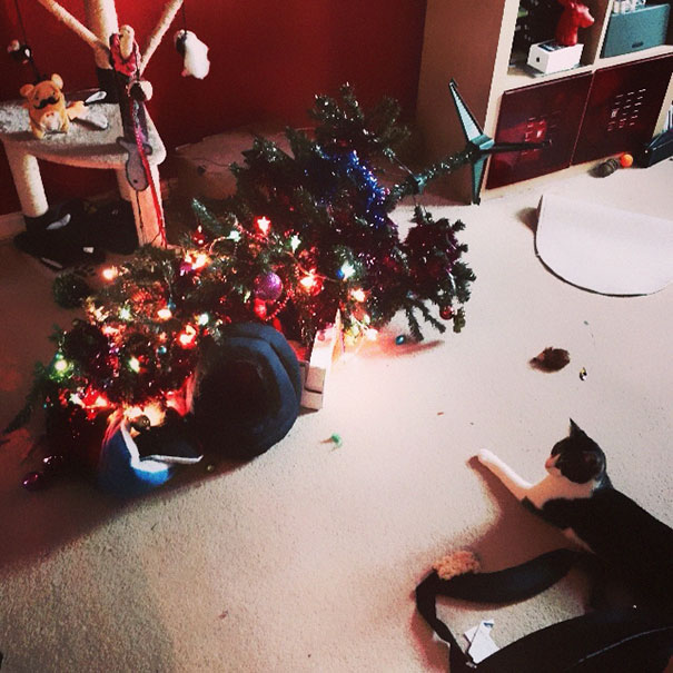 XX-animals-destroying-Christmas-4__605