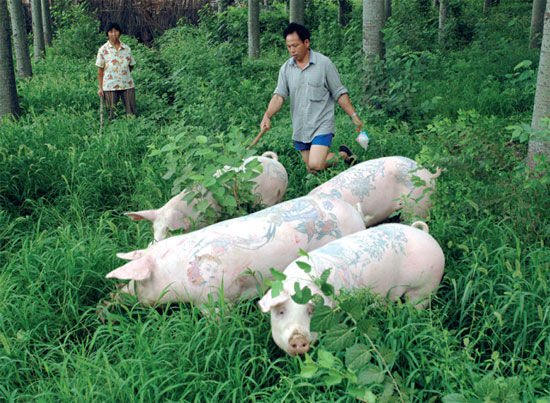 Photos: Wim Delvoye