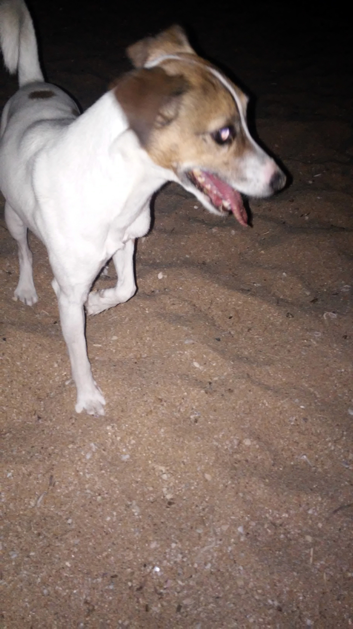 Оцеляхме след 3-дневен кемпистки запой на морето