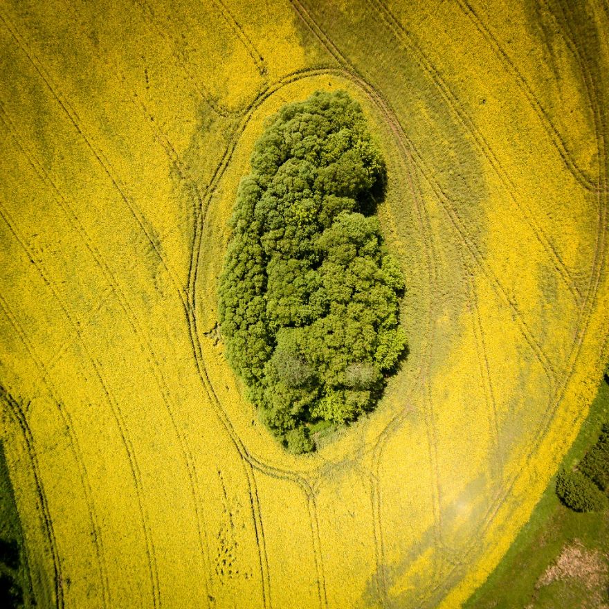 world-from-the-birdseye-view...-2__880