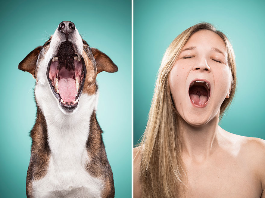 I-Am-Photographing-Dog-Owners-That-Mimic-Their-Dogs-Facial-Expressions15__880