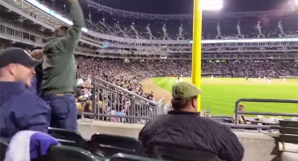 Mexicanwavediscover_large