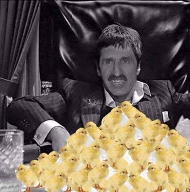 12107283_1048864801798732_4965449865363390729_n