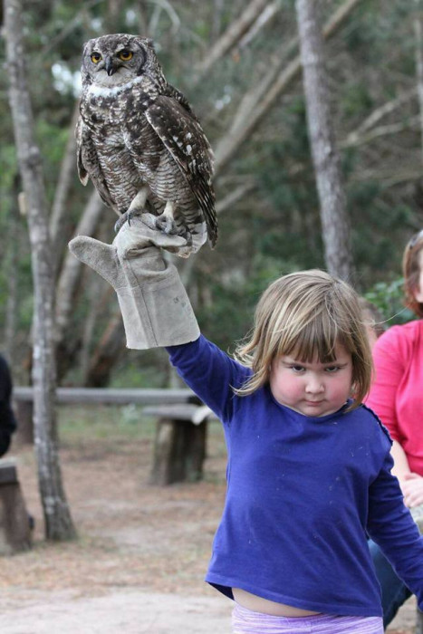 girl_holds_an_owl_01