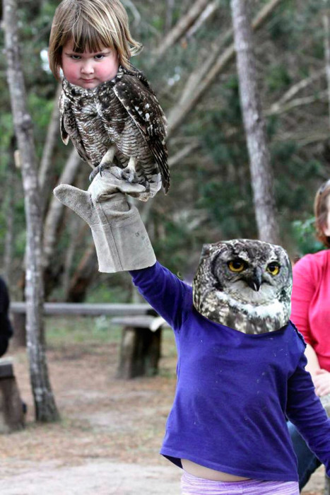 girl_holds_an_owl_14