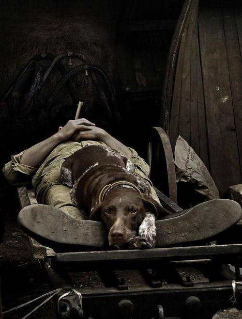 11215072_1083280928351641_2808186719801620528_n