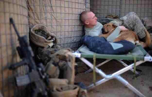 11988638_1083280858351648_8968516178608692701_n