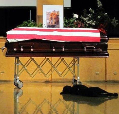 12208296_1082174355128965_5372642631347566530_n