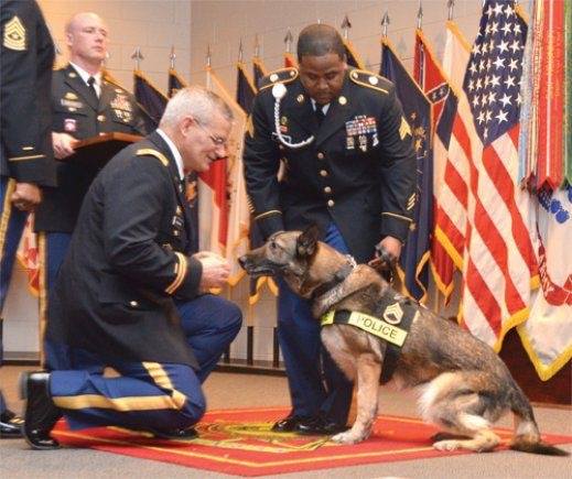 12219324_1082174318462302_6947600151062356239_n