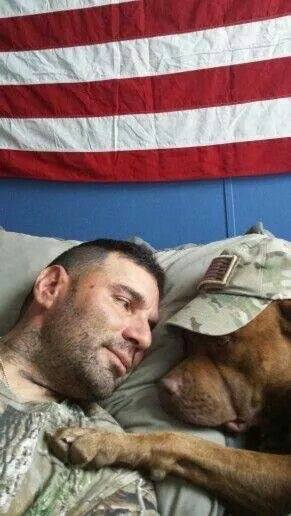 12234927_1082174425128958_1341143751403482045_n