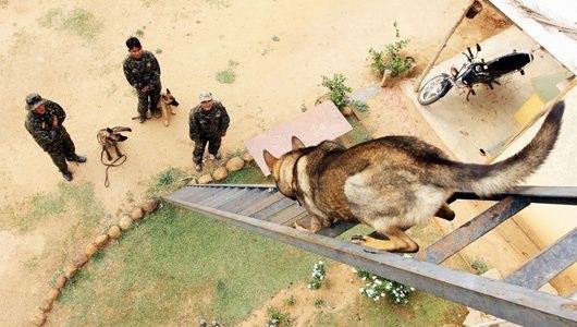 12239624_1083281555018245_7746235433816746790_n