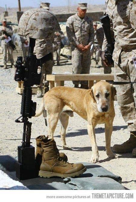 12243106_1083280848351649_8587862149861281551_n