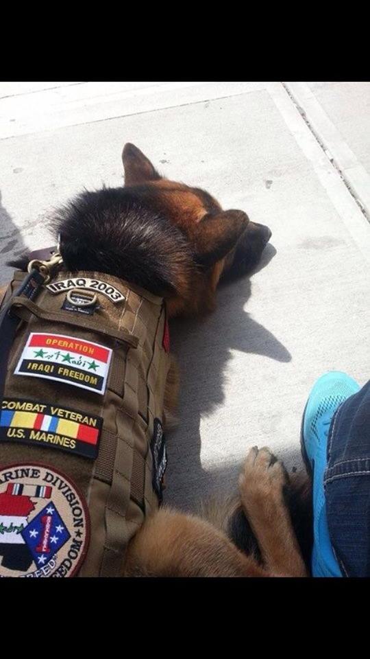 12249795_1083280658351668_3471556896273894811_n