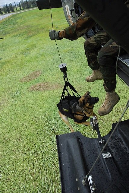 12274286_1083281531684914_6817798308521805778_n