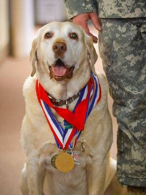 12274396_1083281491684918_2567236047053465384_n