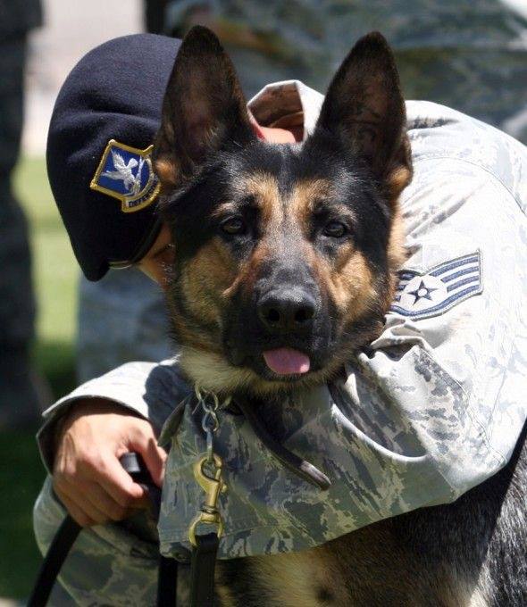 12274445_1083280988351635_774495641468781000_n