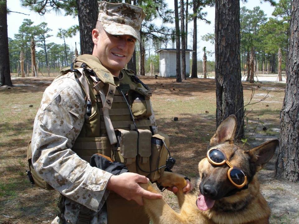 12279055_911607358914976_4970489656359736334_n