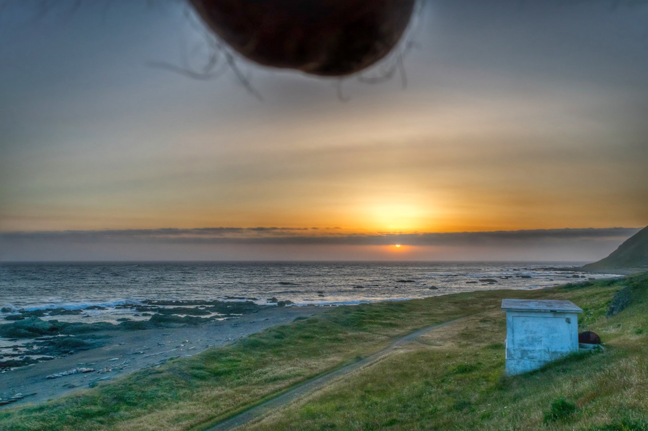 tumblr_n8re64ILB01tpaqwwo1_1280