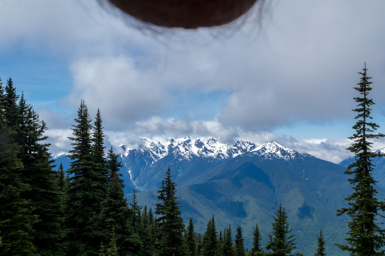 tumblr_n8reguhMO71tpaqwwo1_1280