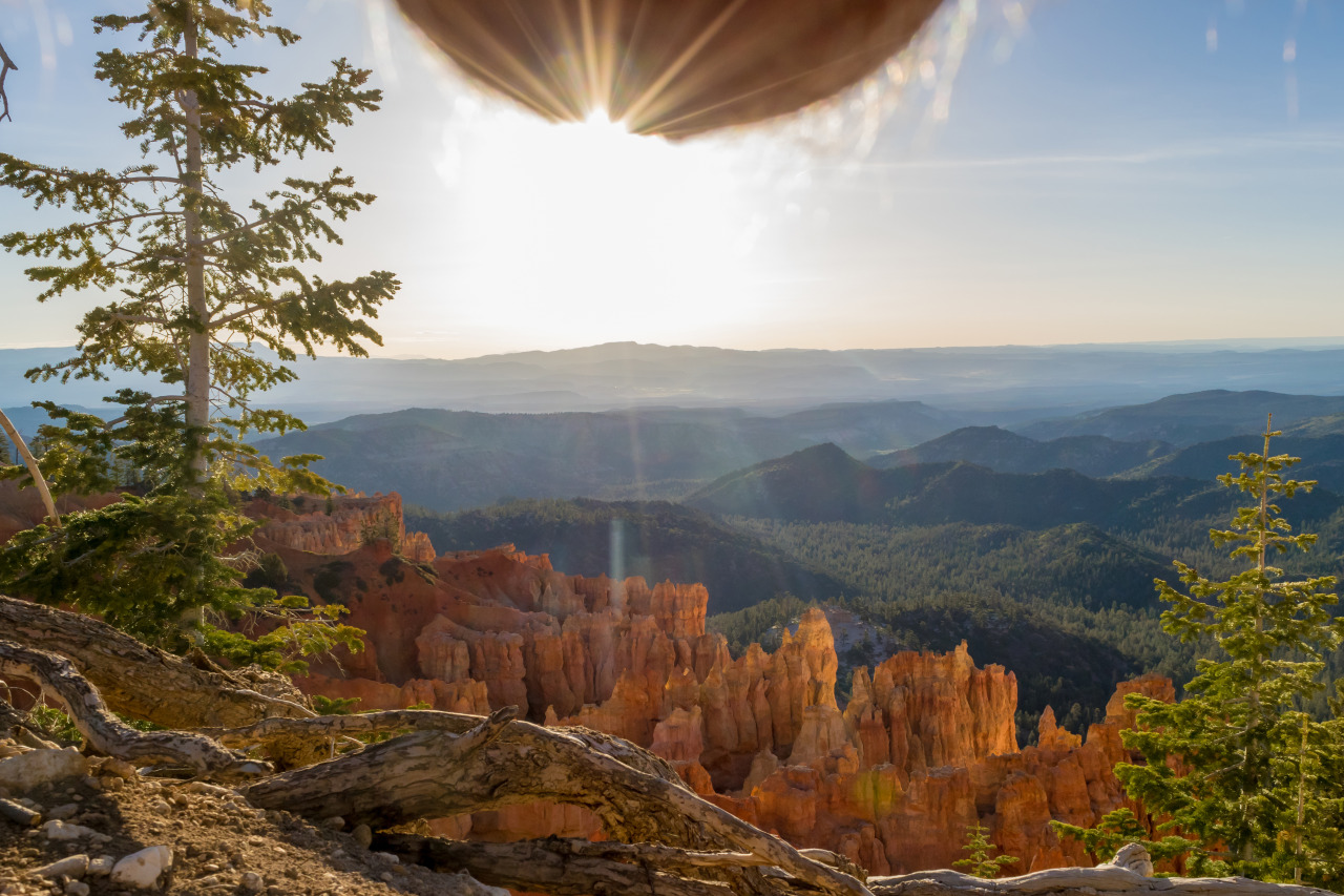 tumblr_n9se3axT531tpaqwwo1_1280