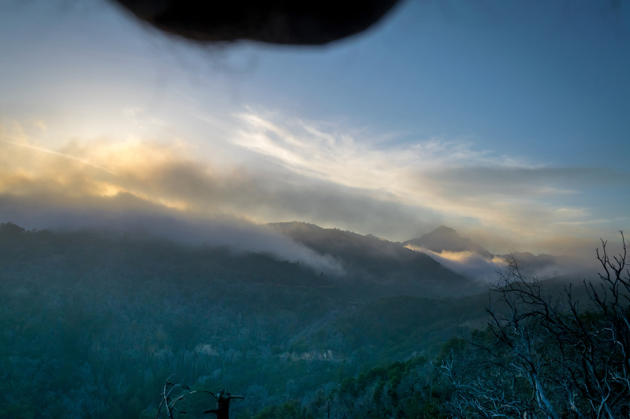 tumblr_n9se7k1apV1tpaqwwo1_1280