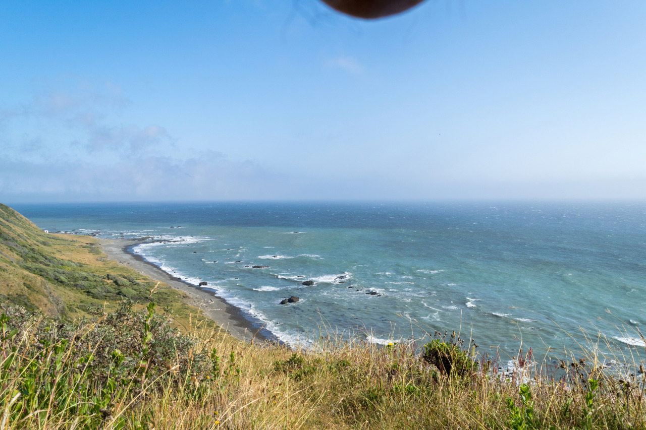 tumblr_n9secpXxUA1tpaqwwo1_1280