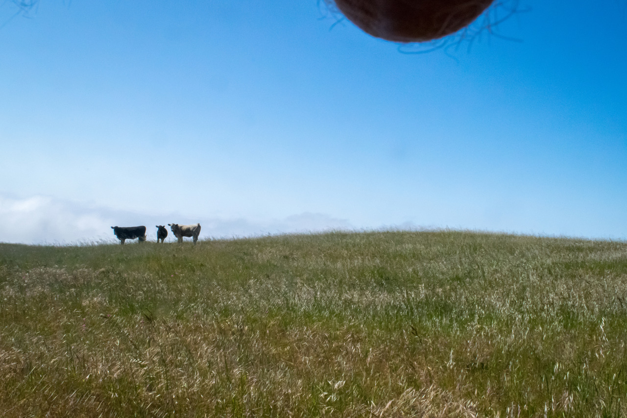 tumblr_n9sejkk8fY1tpaqwwo1_1280