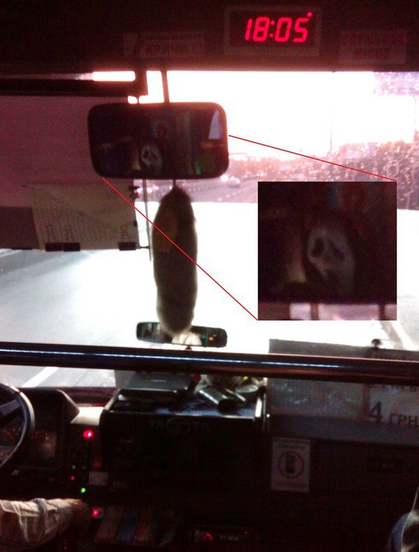 1444058828_1522819376