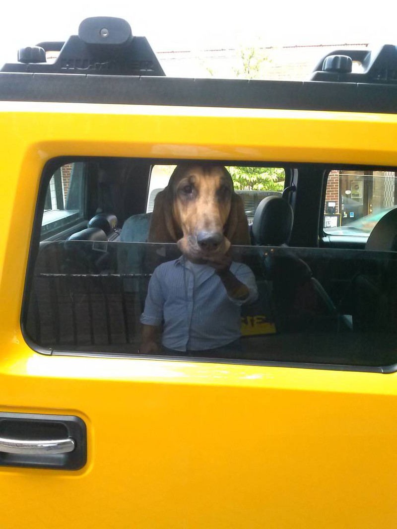 foto-otrazhenie-pokazalos-lichnoe-869183