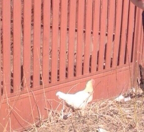 Те помолиха да им редактират снимките на фотошоп (ГОЛЯМА ГРЕШКА)