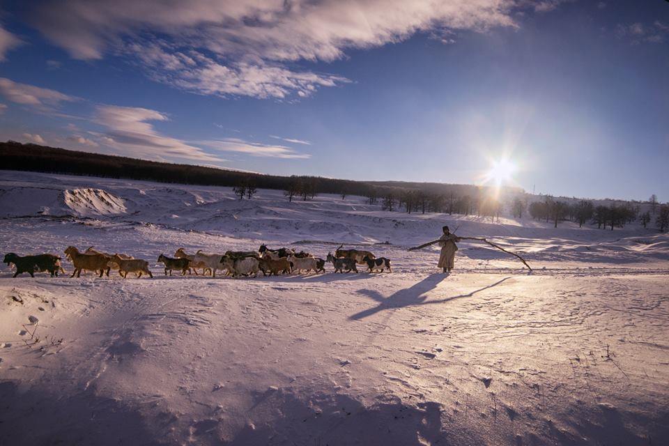 12507581_1085997474766768_7290648760183453662_n