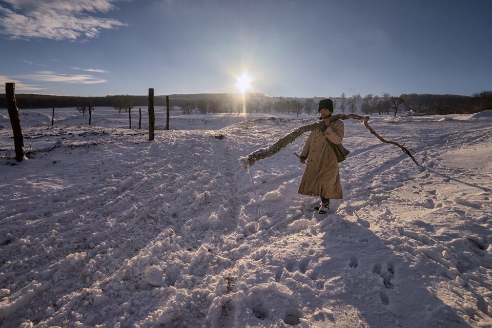 12509544_1088632601169922_2306454082852135411_n