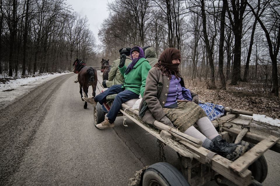 12510304_1090095124357003_2808784738224447771_n